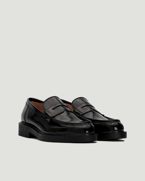 Shiny Black