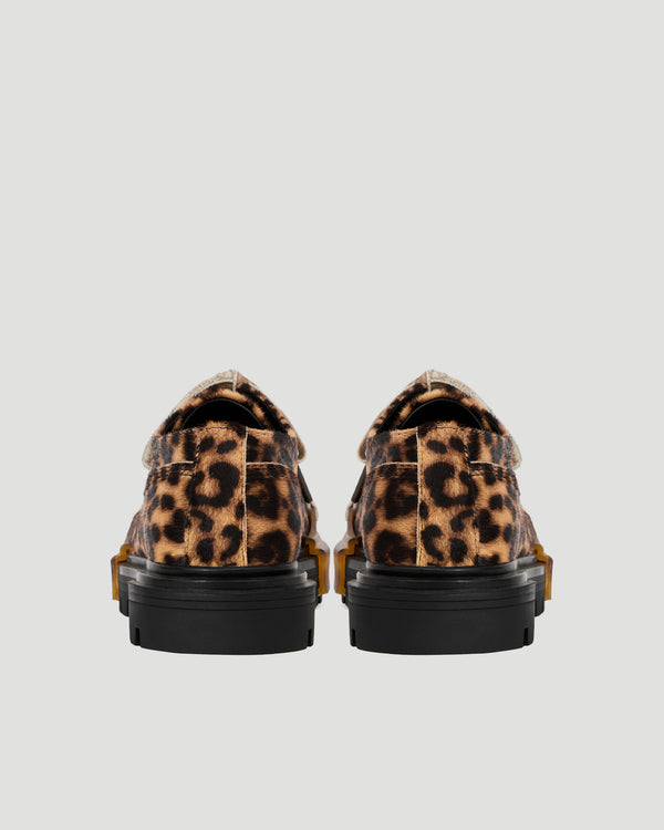 Leopard