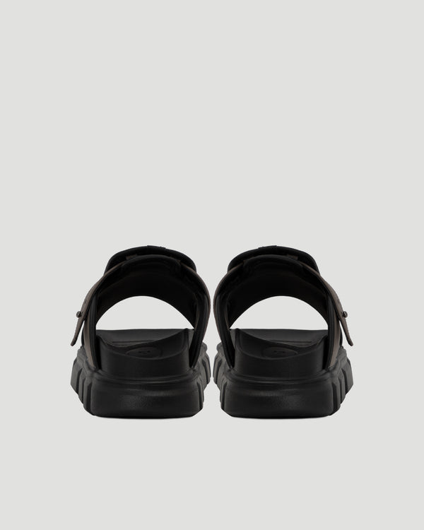 Gray Black
